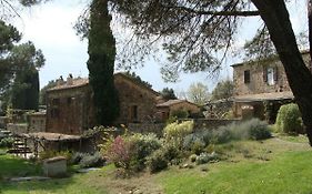 Nocini Di Maremma